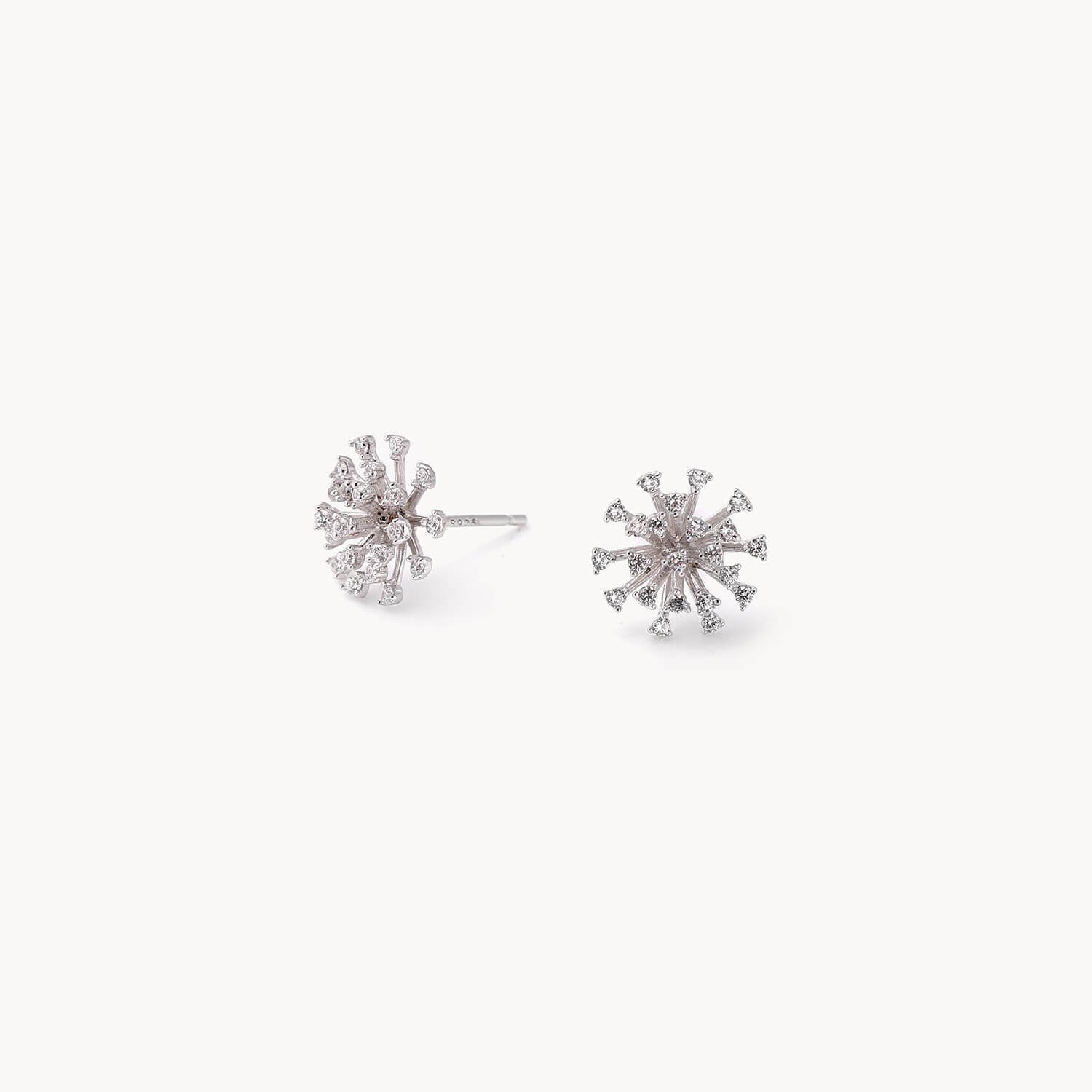 Small exquisite zirconium earrings